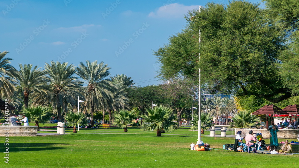 Alley with green lawn and trees at Dubai Creek park timelapse. Dubai, United Arab Emirates