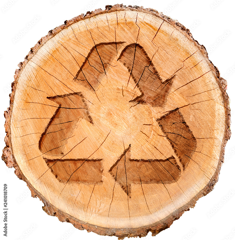 Cut piece of wood tree trunk with recycle symbol. Renewable resources for a green planet.