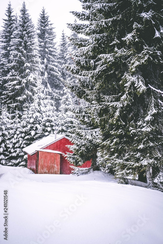 Red cabin in the forest © V.Klapi