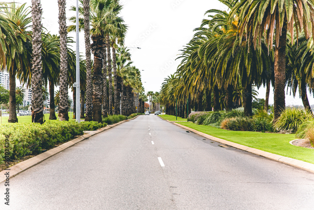 Riverside Drive, Perth