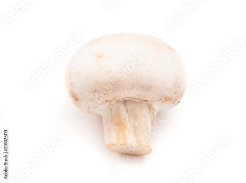 Mushroom Isolated on a White Background