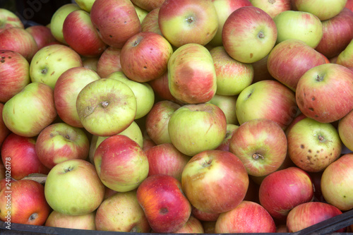 Closeup of Apples on Market