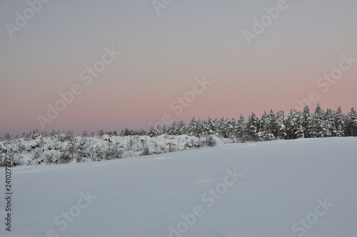 winter landscape with trees and snow © Alla Dmitriuk