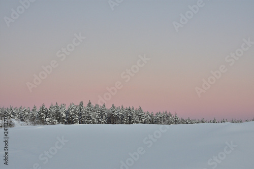 winter landscape with fog and trees