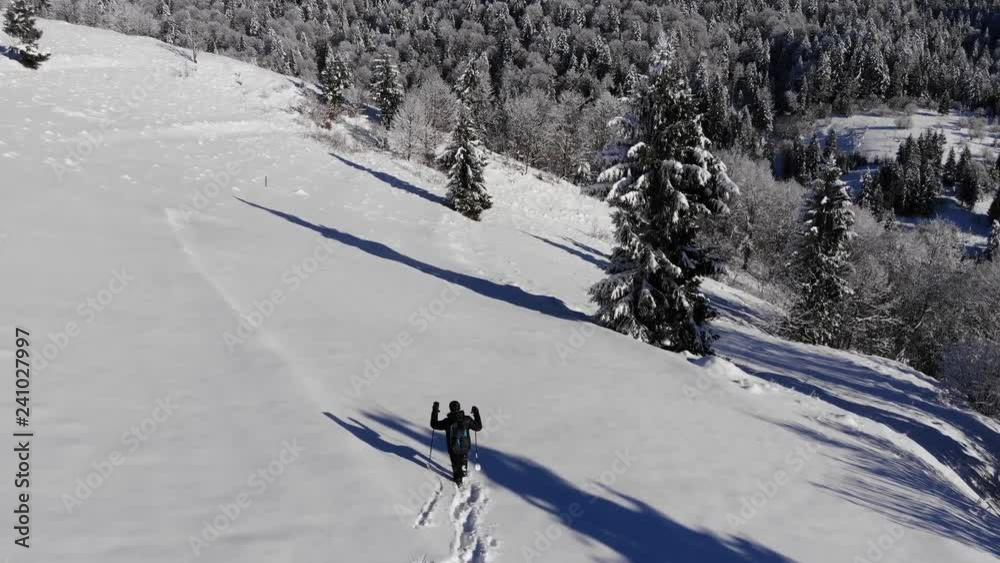 A lone tourist walks through the snow in a mountain forest. Traveler in the winter snow-covered forest with a bird's-eye view. Shooting on the quadcopter. A lone tourist walks through the snow in a mountain forest. Traveler in the winter snow-covered forest with a bird's-eye view. Shooting on the quadcopter.
