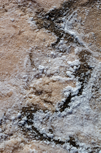 Natural white salt crystal texture on the sand, macro, close up. Salty lake shore background, Spain, Torrevieja. © Mariia Loginovskaia