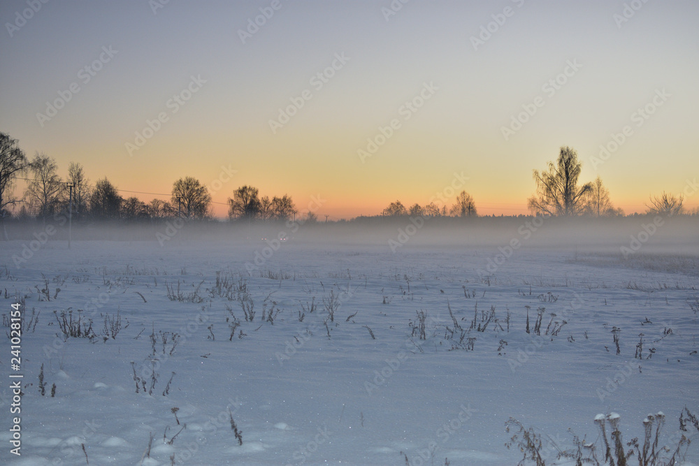 Naklejka premium winter landscape with fog and trees