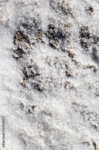 Stones covered by natural white salt crystals, close up. Salty lake shore background. Spain, Torrevieja.