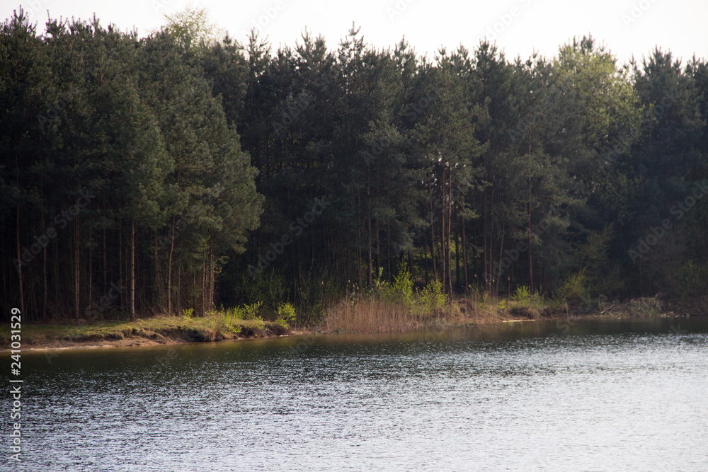 blick auf den baggersee und den angrenzenden wald in niederlangen emsland deutschland fotografiert während einer wanderung in der natur in farbe