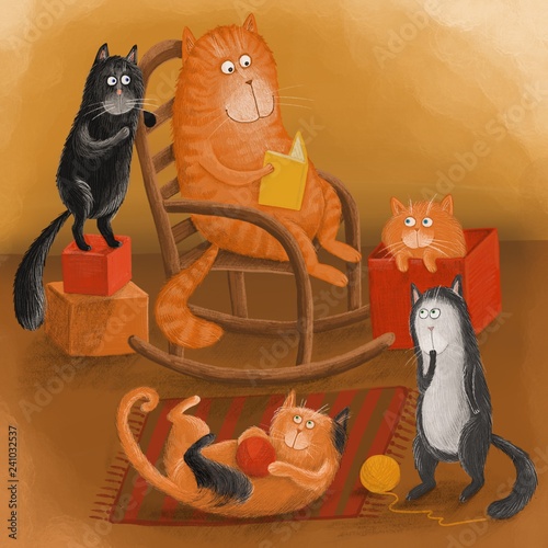 cat animal  illustration beautiful playful