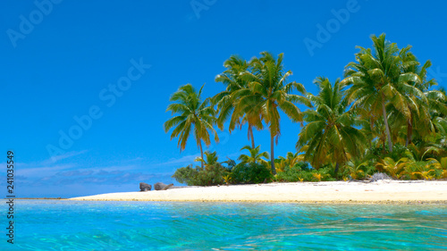 COPY SPACE: Vibrant palm trees cover the untouched sandy island in the Pacific.