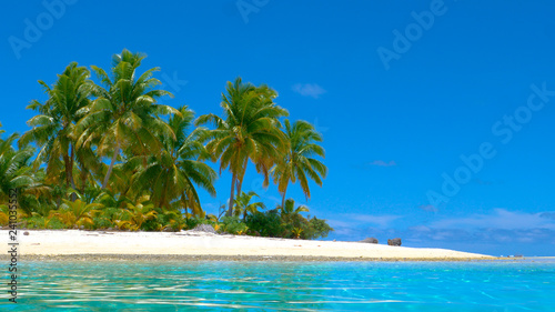 LOW ANGLE: Idyllic view of palm trees on the tropical beach and turquoise ocean.