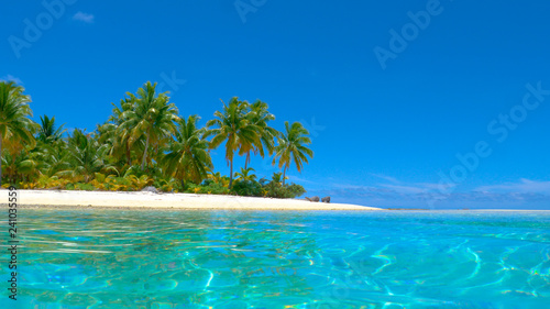 LOW ANGLE: Vibrant tropical nature covers the untouched sandy island in Pacific.