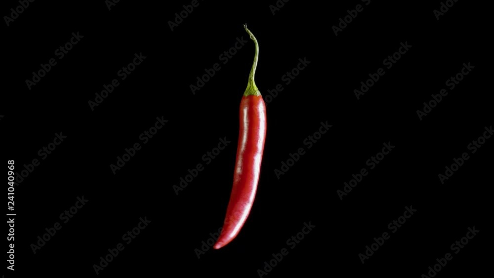 Red hot isolated pepper rotates in the black studio Red hot isolated pepper rotates in the black studio