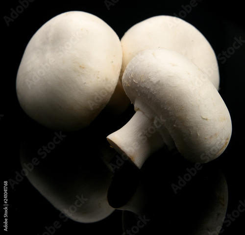 cogumelos brancos estudio 2 (ID: 241041768)