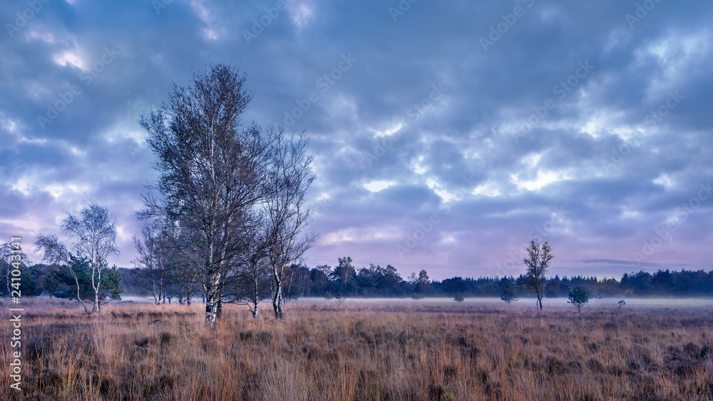 Twilight at tranquil heathland with dramatic clouds, Goirle, The Netherlands