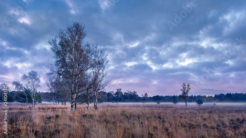 Wallpaper Mural Twilight at tranquil heathland with dramatic clouds, Goirle, The Netherlands Torontodigital.ca