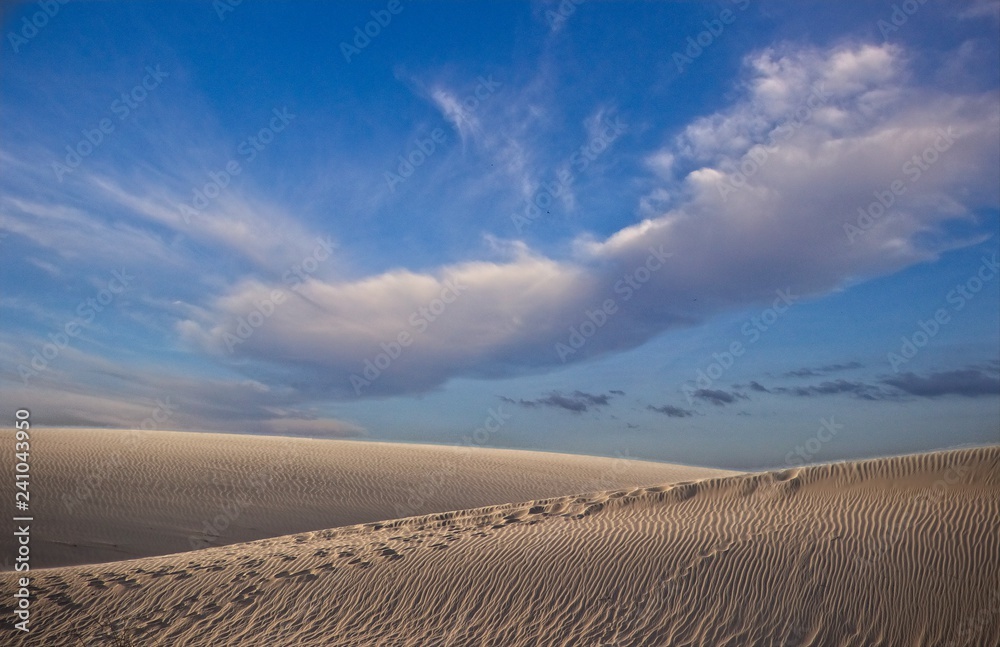 Naklejka premium sand dunes in the beach