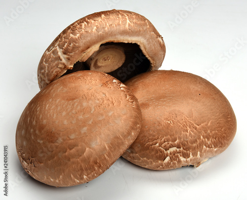 Portobelo cogumelos (ID: 241043915)