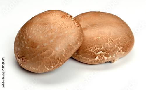 Portobelo cogumelos (ID: 241043982)