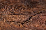 Tekstura starego drzewa