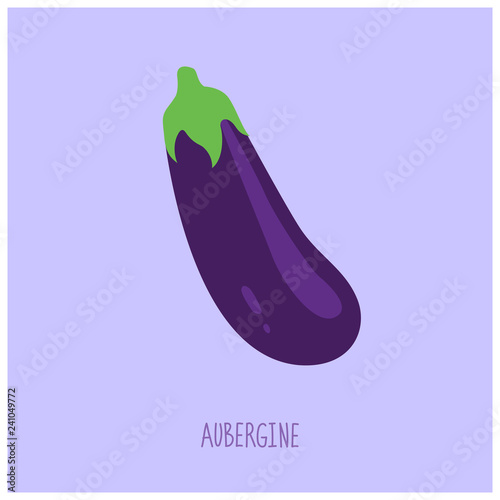 Simple aubergine vector illustration.