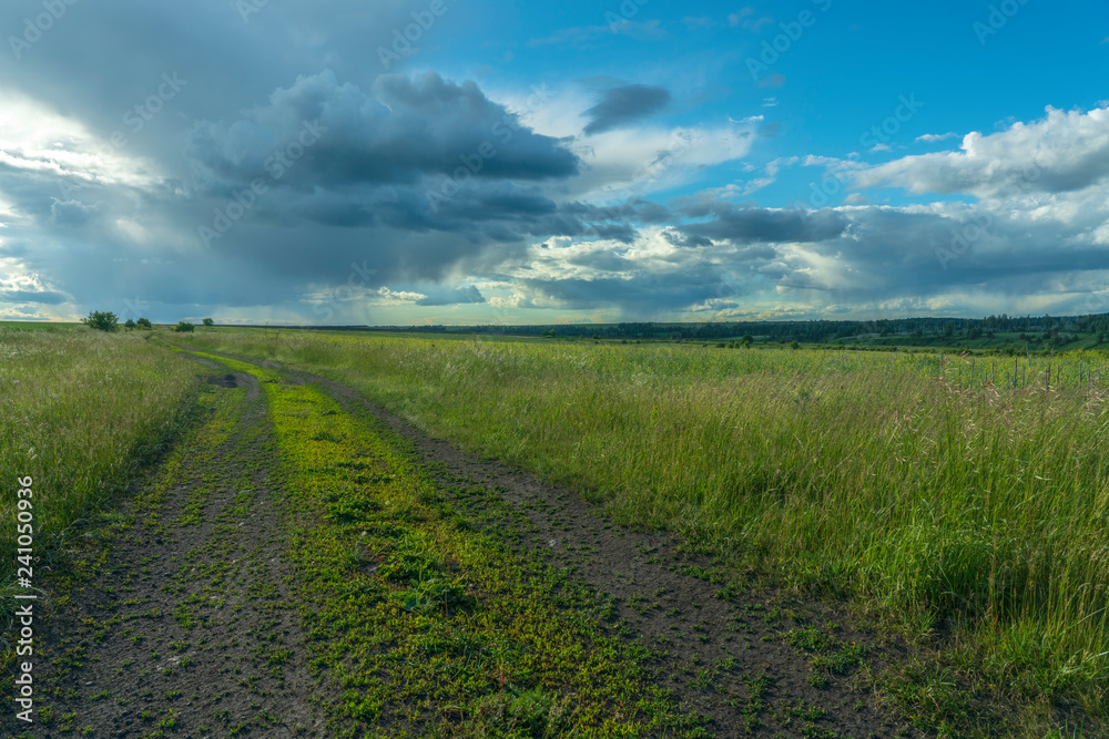 dirt road through the field on the background of rain clouds dirt road through the field on the background of rain clouds