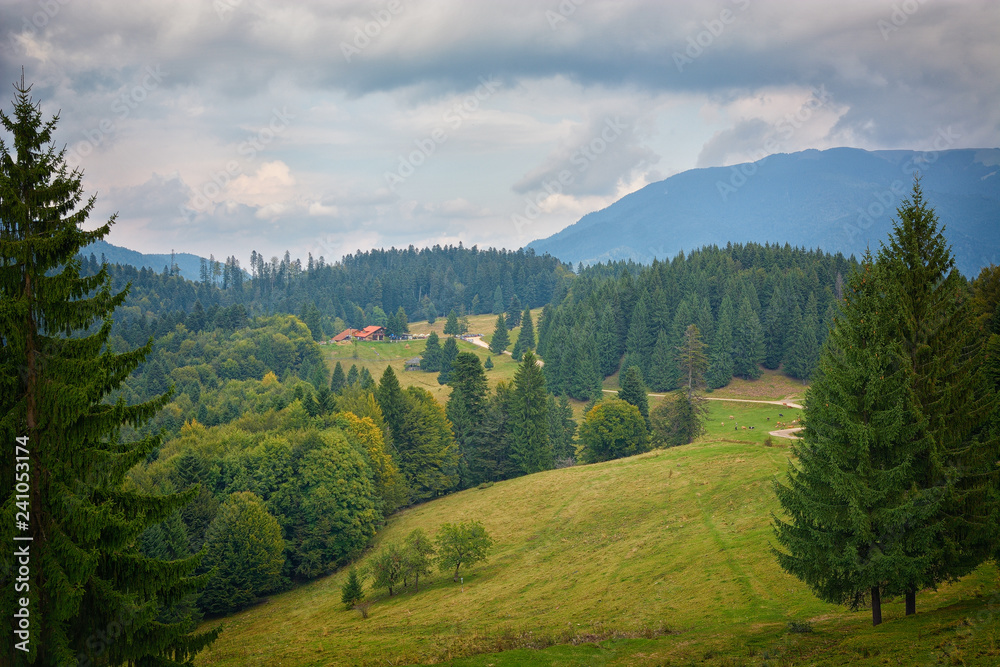 Obraz premium Carpathian mountains summer vintage landscape with blue sky and clouds