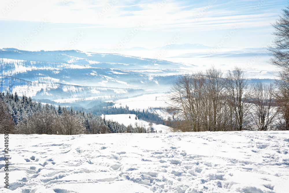 Obraz premium Beautiful winter landscape in the mountain village. Foggy morning