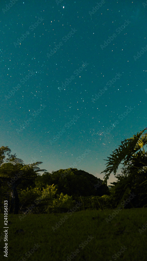 Fototapeta premium Evening stars