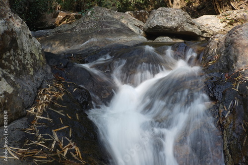 waterfall in the forest