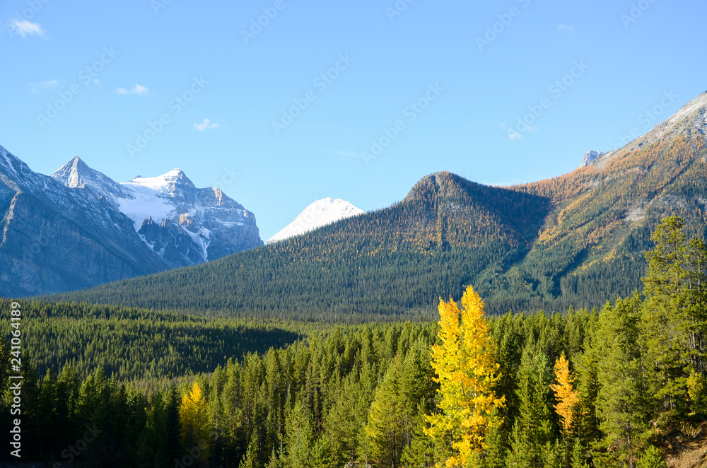 秋のカナディアンロッキー　朝のバンフ国立公園の山並み（バンフ国立公園　カナダ・アルバータ州）