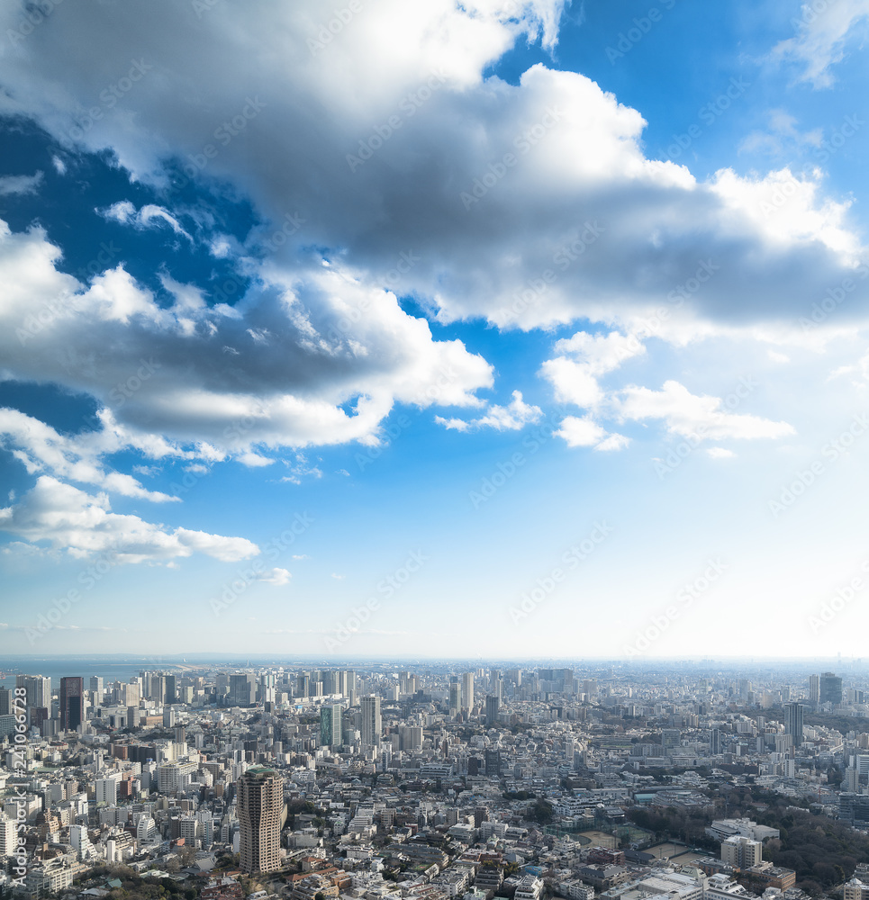 東京の都市風景 東京の都市風景