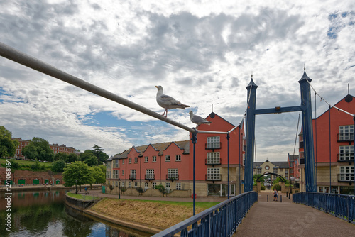 Exeter - Cricklepit Bridge photo