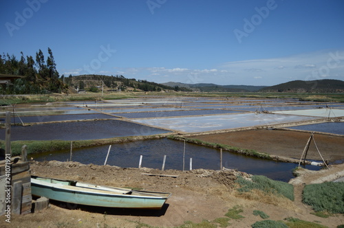 Salinas de Boyeruca - Maule  Chile