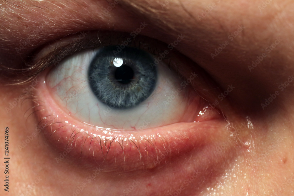 Naklejka premium Human blue eye.