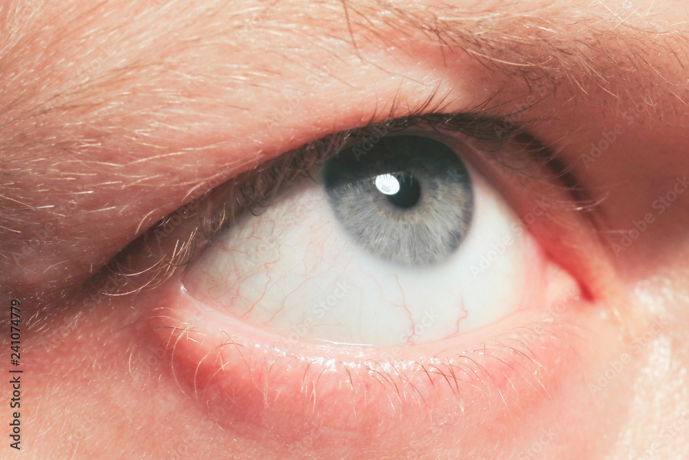 Obraz premium Human blue eye.