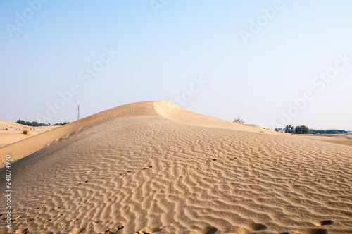 Sand dunes in the Thar desert