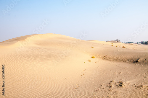 Sand dunes in the Thar desert 
