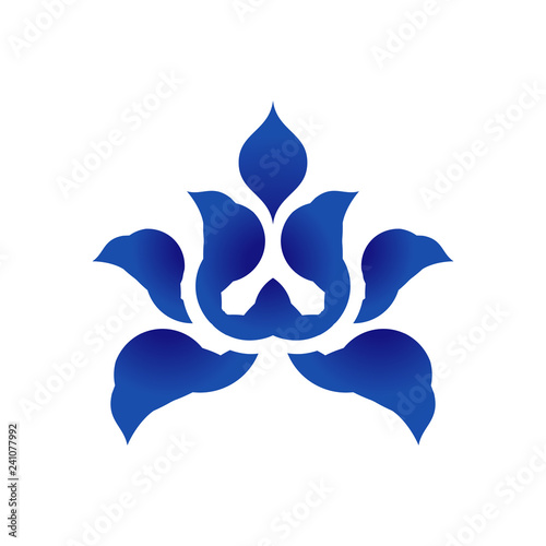 blue and white flower