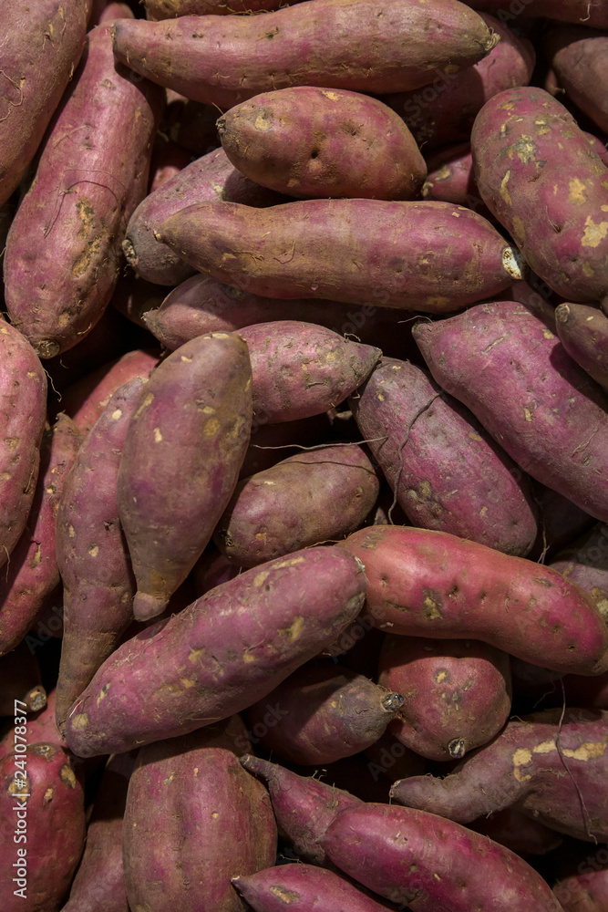 Fresh purple yams pile. Sweet potato for sale in local market. cofred yam background, pile of red or purple yam on background . fresh yam harvest agriculture in the market, sweet potato Fresh purple yams pile. Sweet potato for sale in local market. cofred yam background, pile of red or purple yam on background . fresh yam harvest agriculture in the market, sweet potato