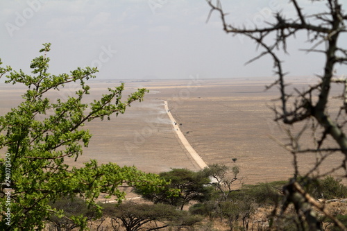Die Savanne der Serengeti photo