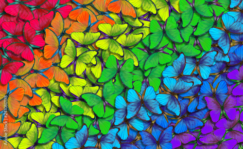 Colors of rainbow. Pattern of multicolored butterflies morpho, texture backgr...