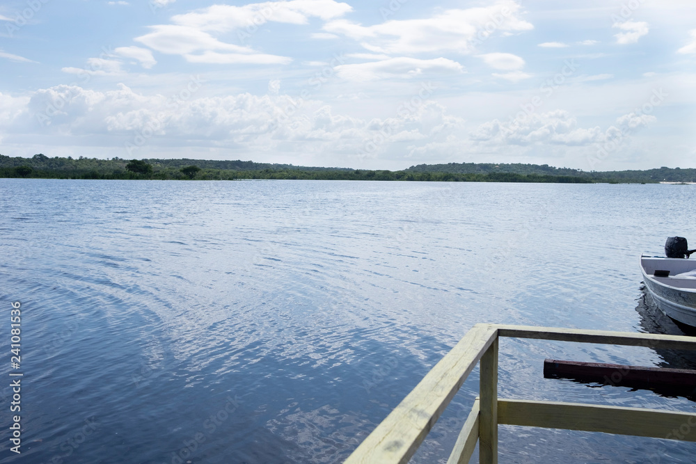 Obraz premium rio amazonas 