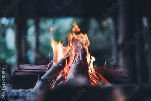fire light up with wooden sticks