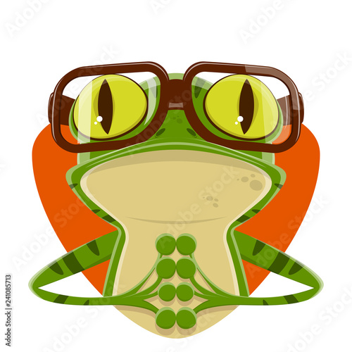 cartoon illustration of a frog with nerd glasses