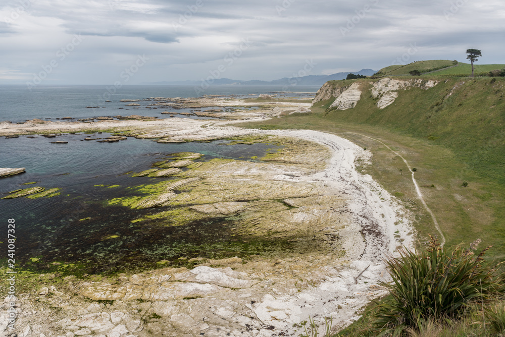 View from Whalers Bay Lookout at low tide. Kaikoura Peninsula, New Zealand.