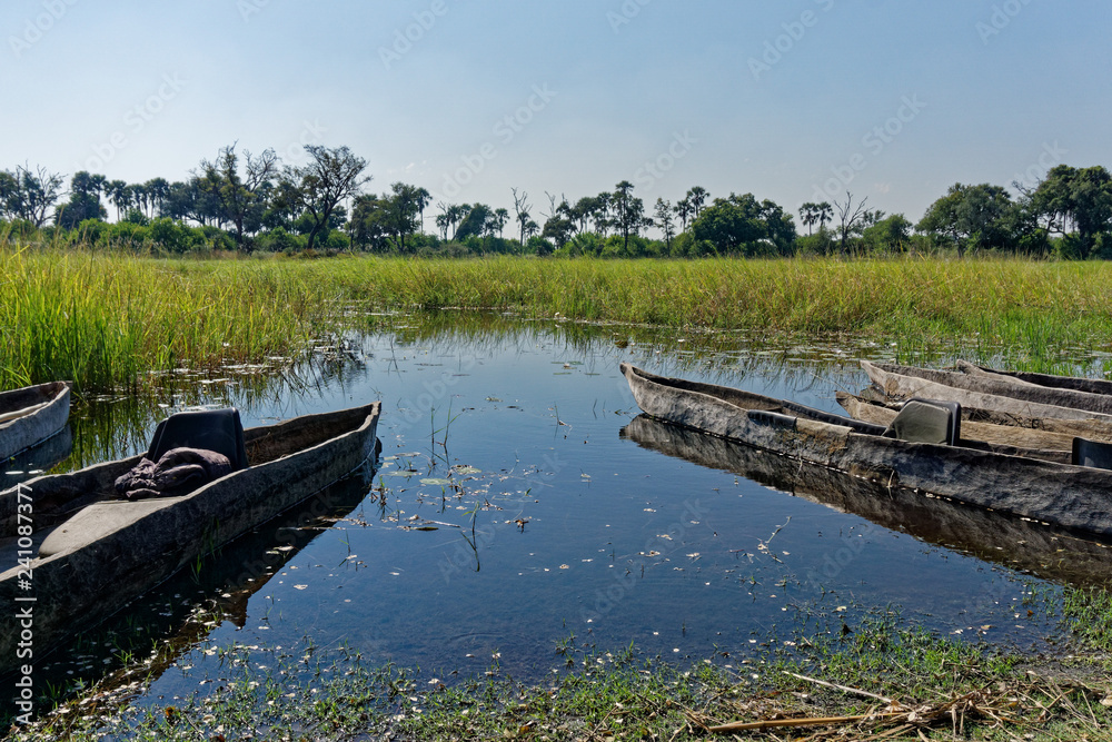 Plastic chairs in makoro dugout canoes, Okavango Delta, Botswana.