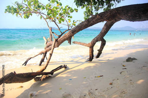 Timber wood on the sand beach and blue sky.