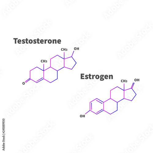 Estrogen and testosterone formula